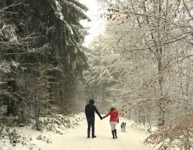 Christmas 2015 Nancykikuko